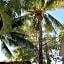 Lobo Inn Tulum