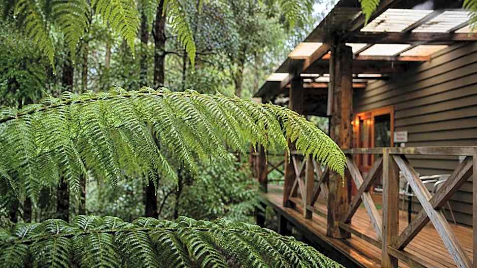 Cradle forest inn