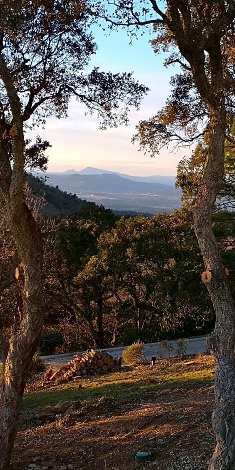 Domaine des Chênes de la Galline