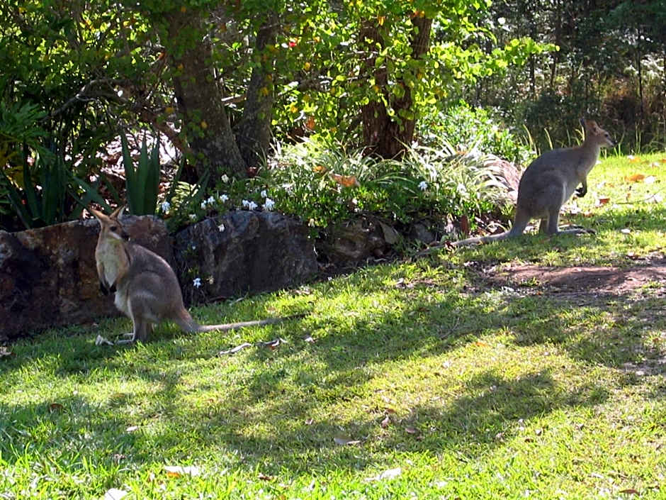 Riviera Bed & Breakfast