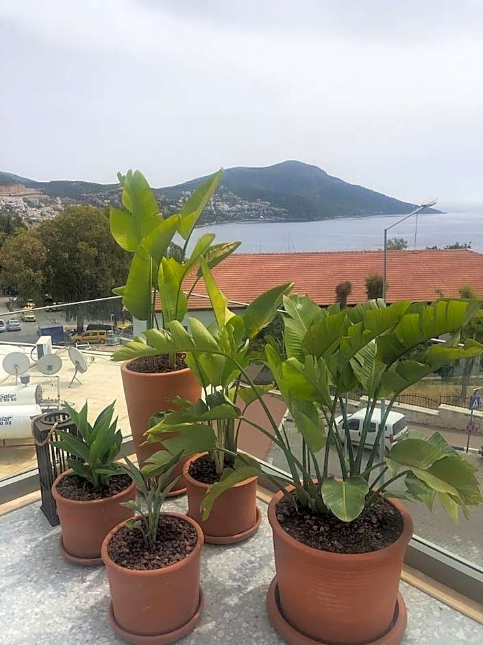 Samira Exclusive Hotel & Apartments