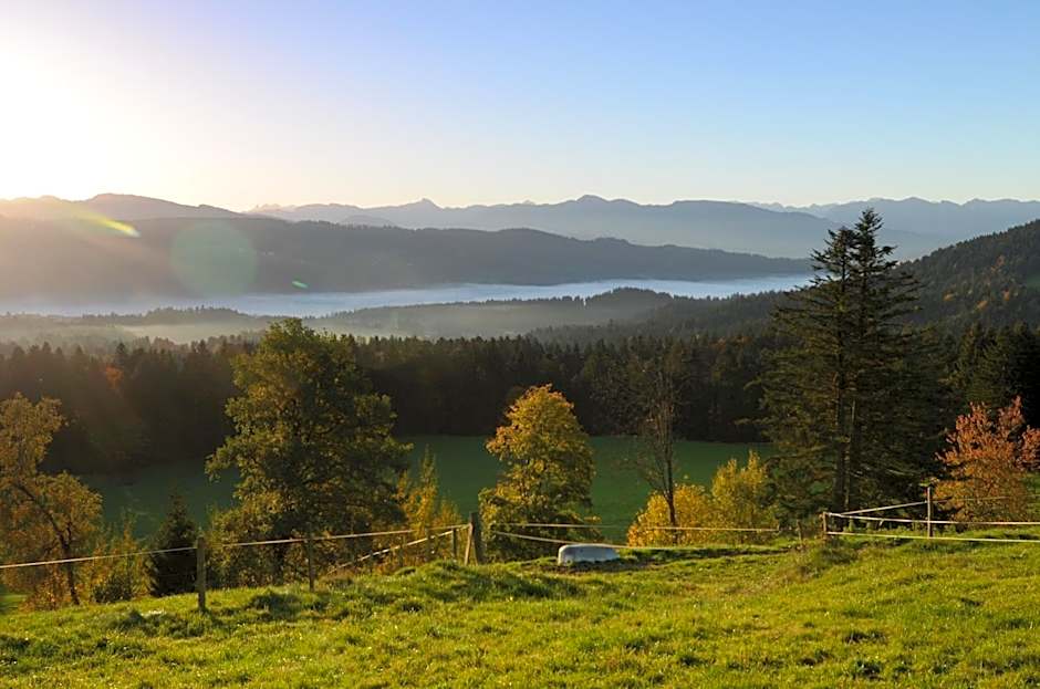 Hotel Post - regionales großes Frühstücksbuffet - auch GF & LF