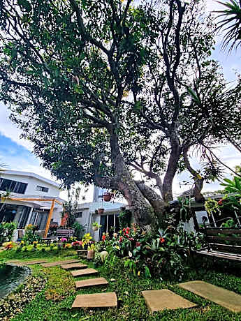 Casa Jardin del Mango