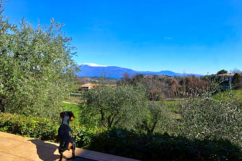 B&B Antiche Mura