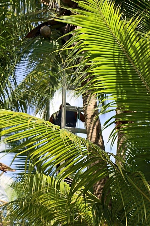 WishTulum