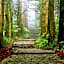 Pulse Inn Katsuura - Vacation STAY 44386v