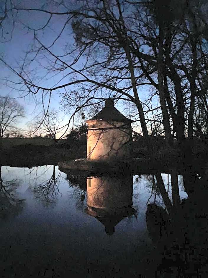 Château de la Preuille Bed & Breakfast