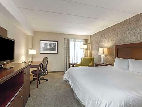 King Guest Room, Guest room, 1 King, Sofa bed
