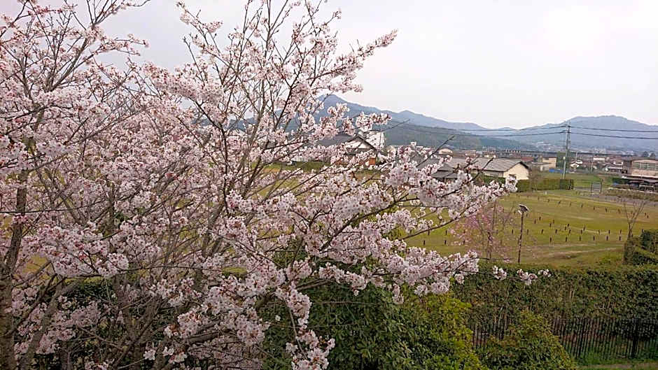 Aki Kokubunji Shukubou