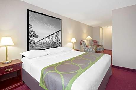 One Bedroom Suite with 1 King Bed Non-Smoking