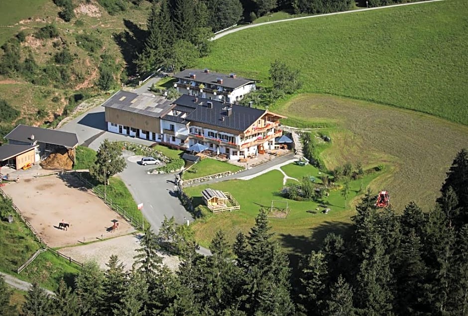 Bauernhof Haflingertränke