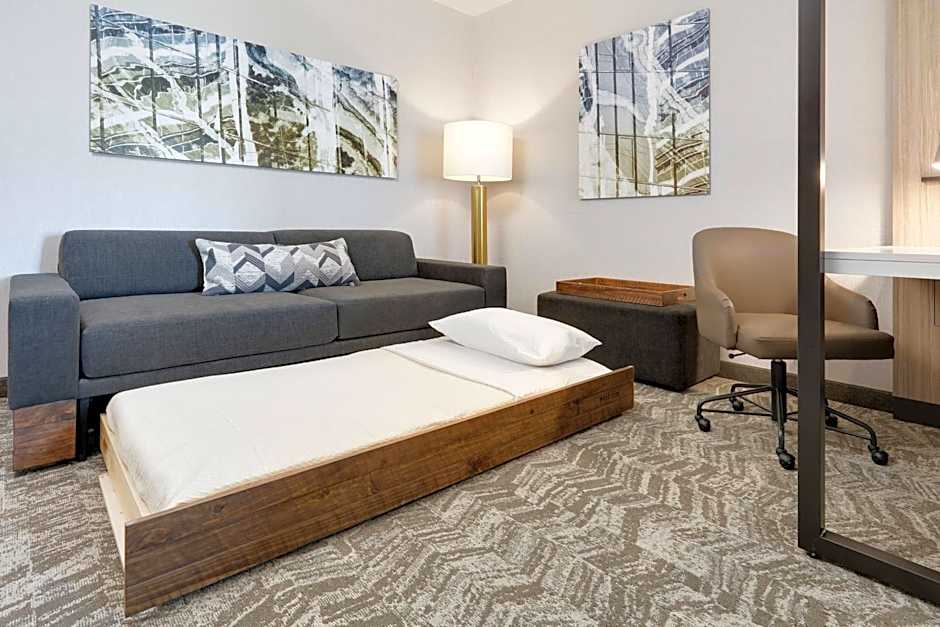 SpringHill Suites by Marriott Dallas Mansfield