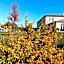Hôtel La Bastide d'Iris