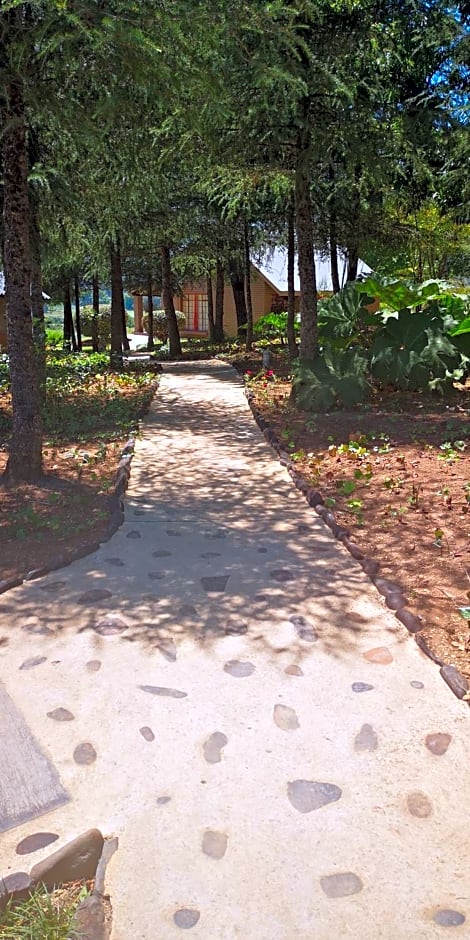 Amazian Mountain River Lodge