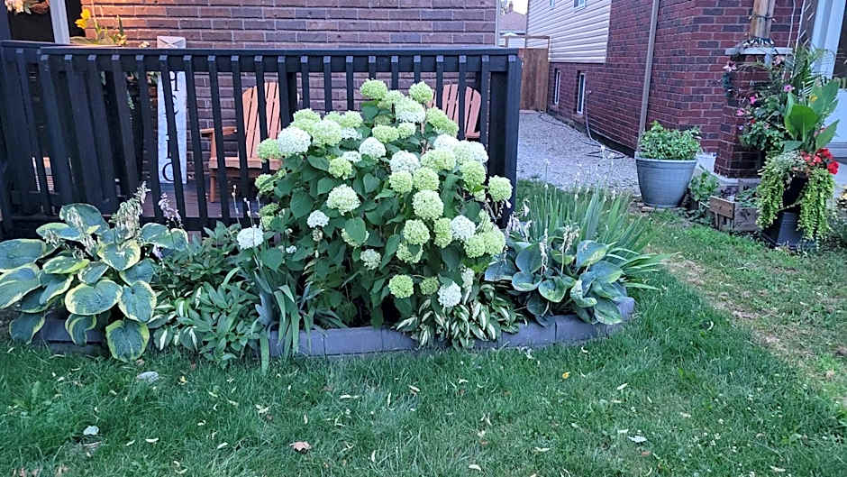 Beautiful newly designed Luxurious Apartment