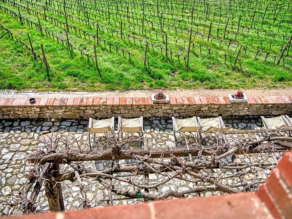 Borgo Argenina