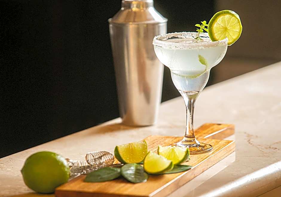 Melia Campinas Hotel