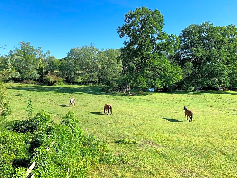 Château de Saint-Agoulin