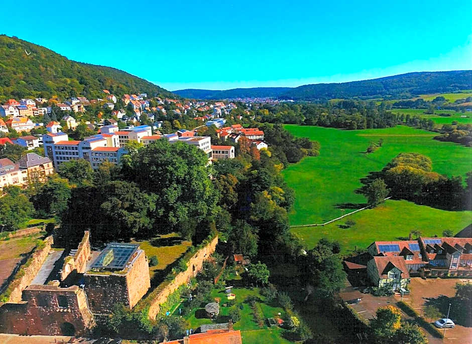 Hotel Burg-Mühle