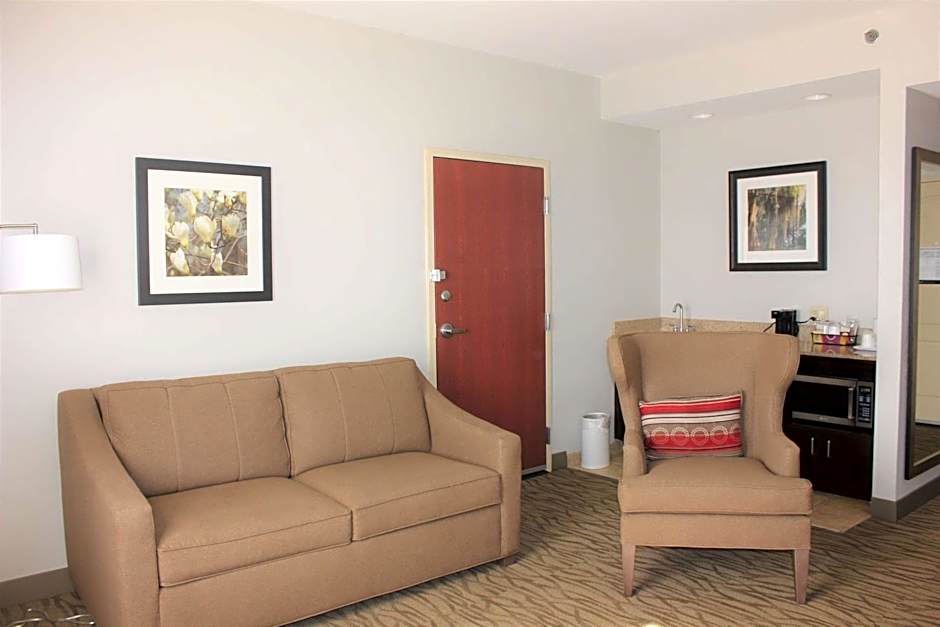 Hampton Inn By Hilton Gonzales