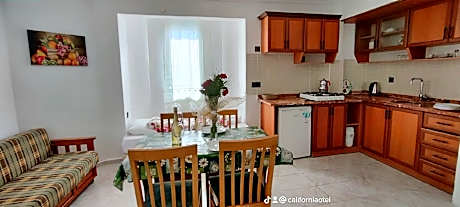 1+1 apartment room with kitchen