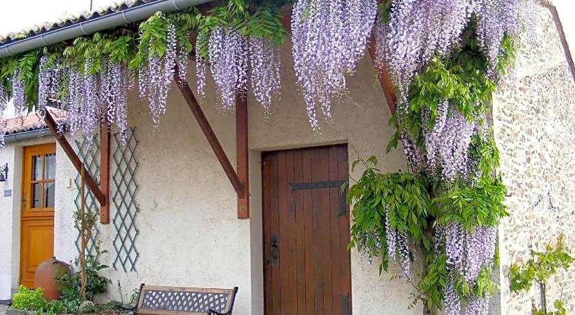 Chambres d'Hotes Vignes et Loire