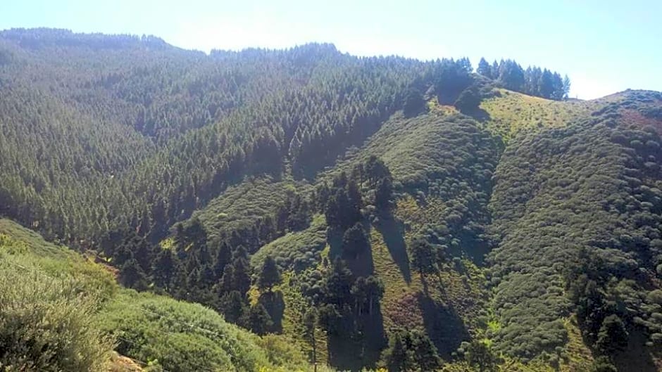 Cabañas Valle Verde