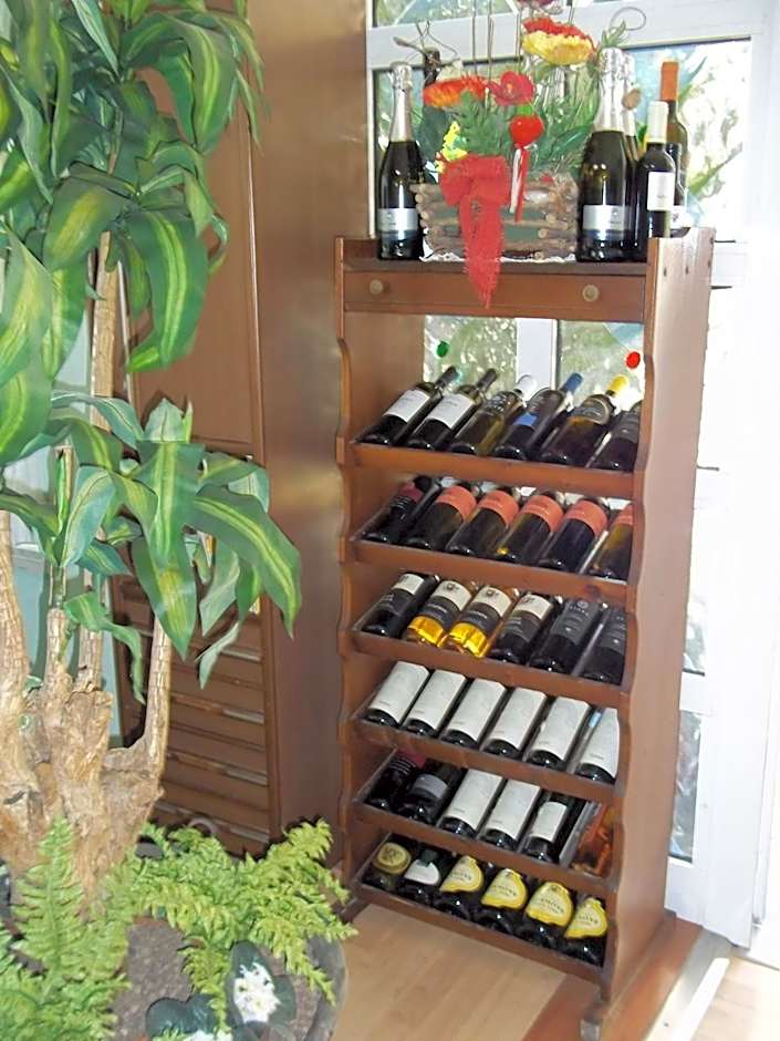 Hotel Meublè Villa Patrizia