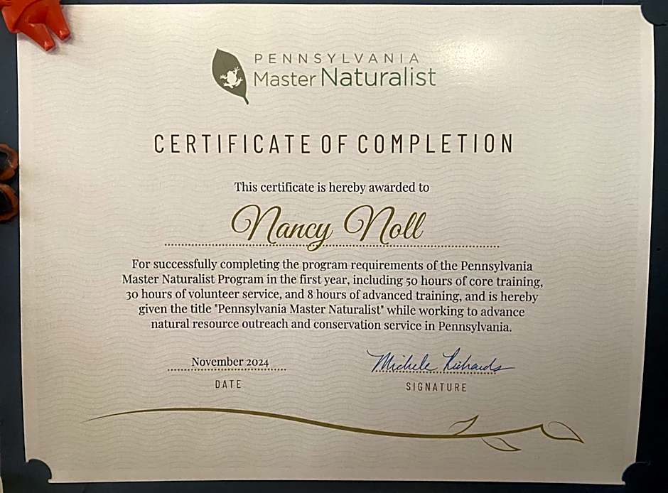 The Queen, A Victorian Bed & Breakfast