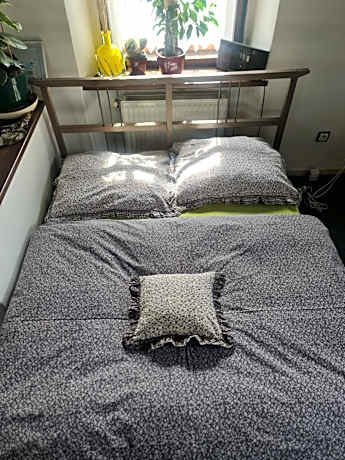 One-Bedroom Apartment with View