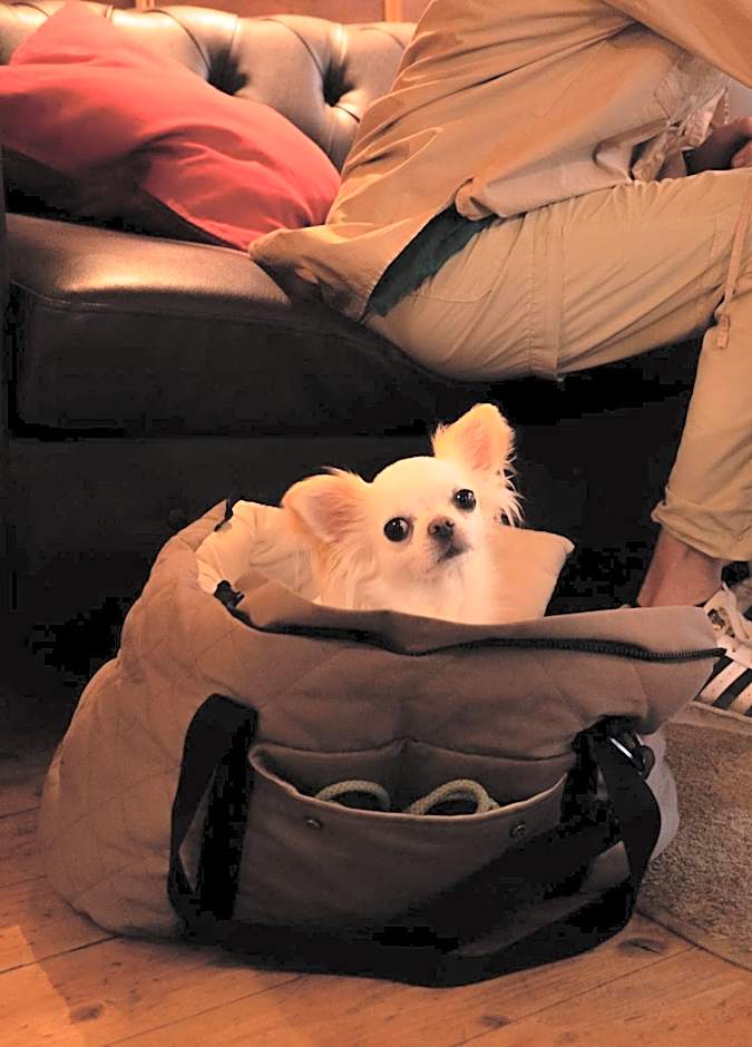 Hotel Chalet du Crey