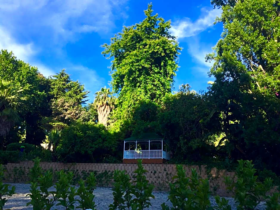 The White Manor – Cape Town, TX