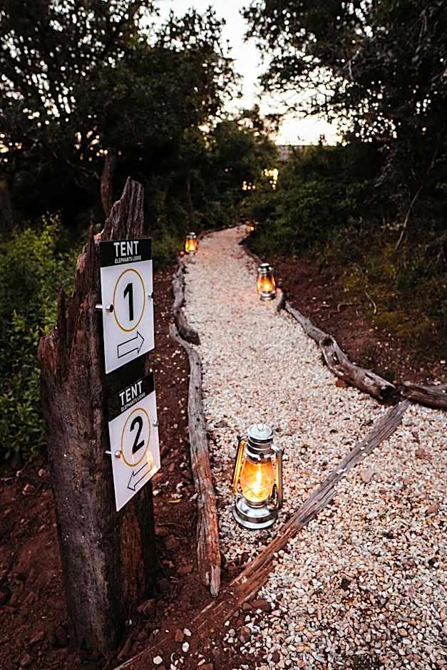 Addo Elephant Safari Lodge - Bellevue Forest Reserve