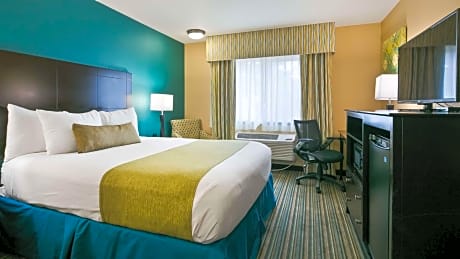 1 Queen Bed Non-Smoking Microwave Fridge Wi-Fi Full Breakfast