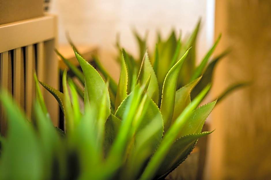 Amadores Beach Apartments