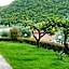 Anemona Studios