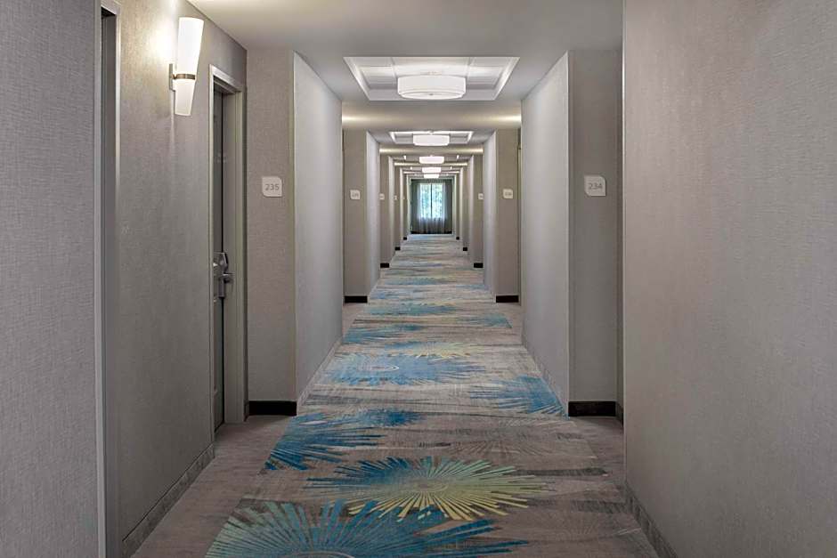 Hilton Garden Inn Dfw Airport South