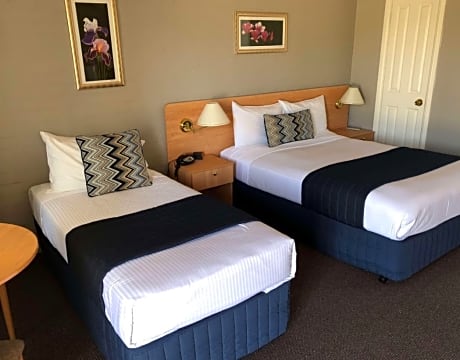 1 King 1 Single  Non-Smoking Executive Room Sofabed Work Desk Wi-Fi Air-Conditioned