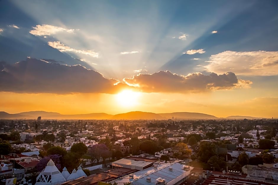 One Guadalajara Expo
