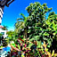 PENTHOUSE con Terraza privada super cómodo y espacioso.