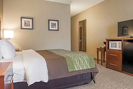 Comfort Inn Edinburg South