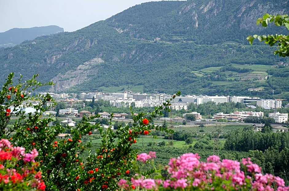 Hotel al Dòs - Breakfast & Private SPA