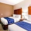 Comfort Inn & Suites IAH Bush Airport - East
