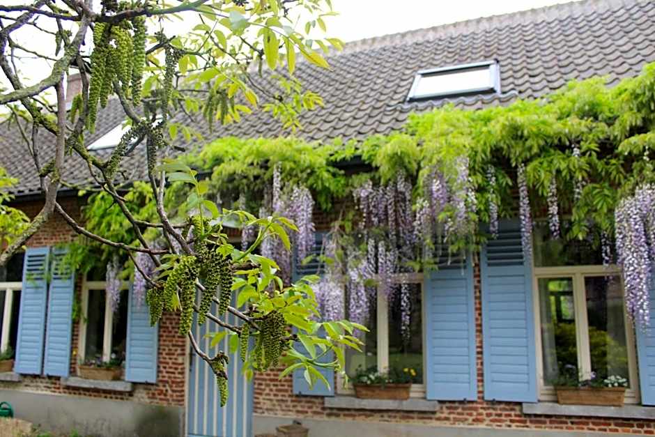 Saffels Nest 33