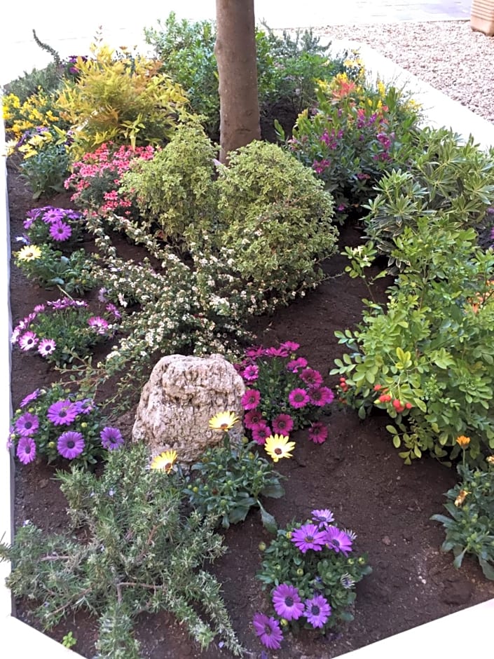 b&b Gio Colosseo - Celio