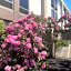 Hampton Inn By Hilton New Bedford/Fairhaven