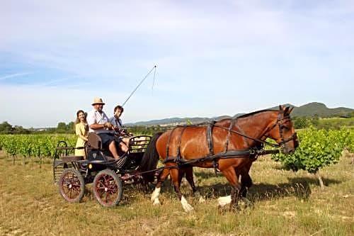 le mas de La Coste