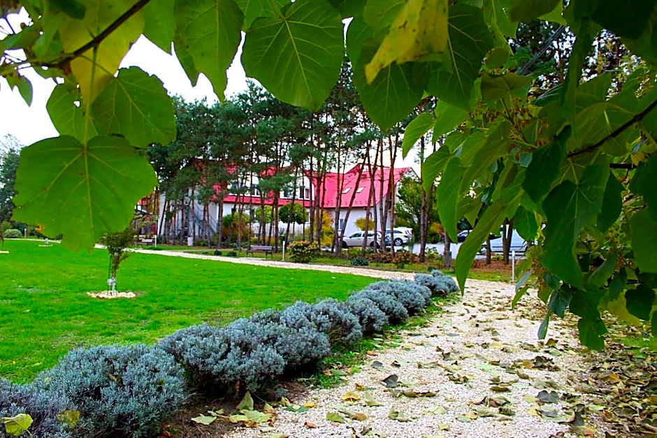 Hotel Zabawa
