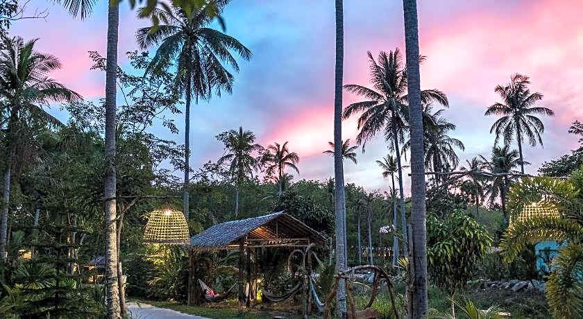 Wonderland Healing Center - All Inclusive