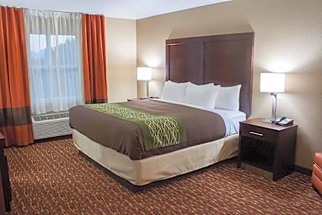 King Suite with Sofa Bed - Non-Smoking